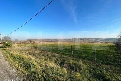 Spațiu comercial, în Lucăcești - 4