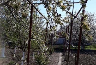 Casă cu 4 camere în Chișineu-Criș - 7