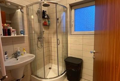 Apartament cu 2 camere decomandat, mobilat în Torontalului - 10