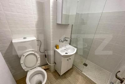 Garsoniera 35 mp, pet friendly, Etaj 2/4 Brazda lui Novac - 5