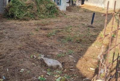 Teren de vanzare in zona Chitila / Bucurestii Noi Teren de vanzare in zona Chitila / Bucurestii Noi - 2