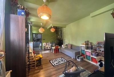 Vanzare - Proprietate cu Potential-Locuinta si Business - 26