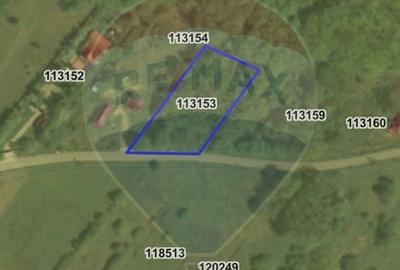 Teren agricol intravilan de 1700 mp, în Borod - 7