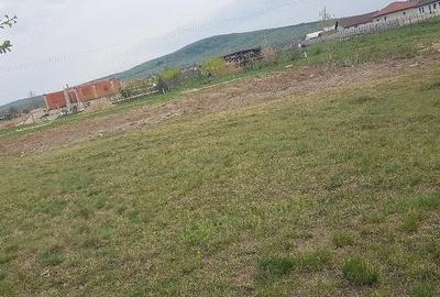 Teren de 1000 mp, în Central - 4