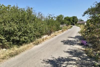 Teren de 1200 mp, în Varlaam - 4