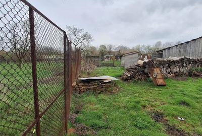 Casă cu Teren 4636 Mp în Central - 6