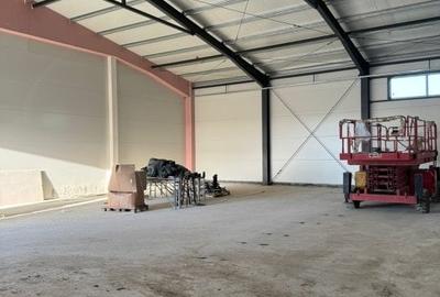 Spațiu industrial, de 300 mp, în Moșnița Nouă - 2