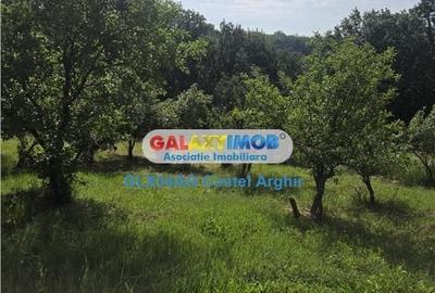Spațiu comercial, în Băbana - 6
