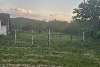Teren de 1379 mp, în Ignești - 1