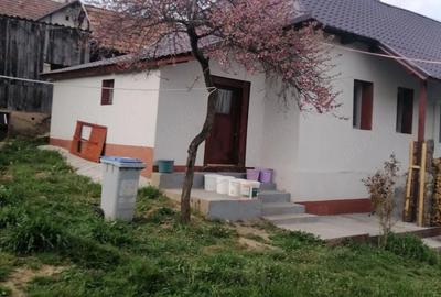 Casă cu 3 camere cu Teren 900 Mp în Sânmihaiu Almașului - 1