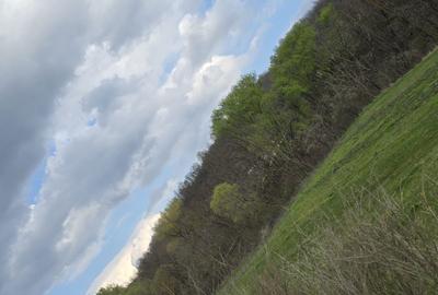 Casă cu 3 camere în Motoșeni - 5