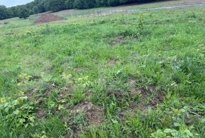 Teren de 3336 mp, în Central - 3