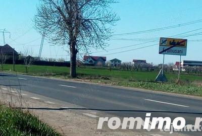 Teren de 600 mp, în Frumușani - 11