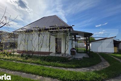 Casă cu 1 camere cu Teren 1430 Mp în Central - 13