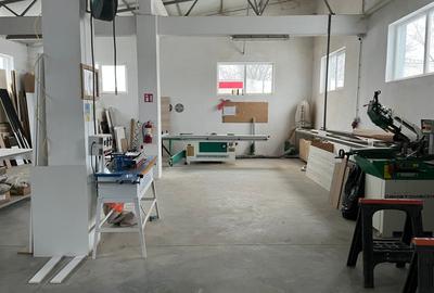 Spațiu comercial, de 460 mp, în Giubega - 10