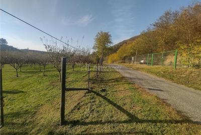 Slatina-Nera, 1445Mp. Teren Drept la Sosea, langa Raul Nera - 3