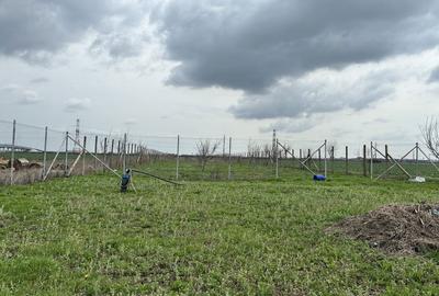 Spațiu comercial, în Nord - 1