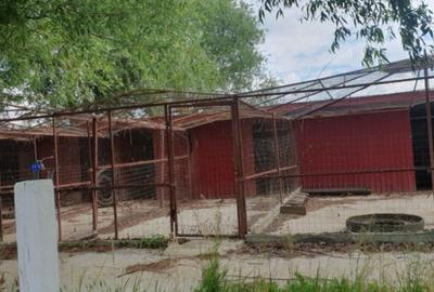 Fermă zootehnică utilată, 1000 m² construiți, comuna Dulceanca, Teleorman - 3