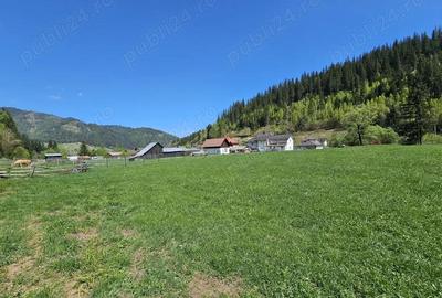 Teren de vanzare in Bucovina zona Pojorata pe Transrarau - 1