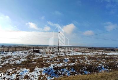 Teren de 5000 mp, în Central - 1