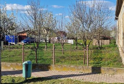 Spațiu comercial, în Carani - 5