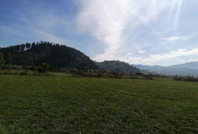 Teren de 934 mp, în Ghimbav Livadă - 4