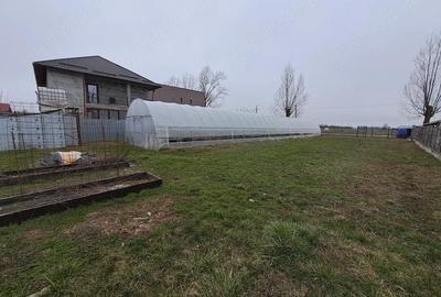 Teren de 841 mp, în Moara Vlăsiei - 3