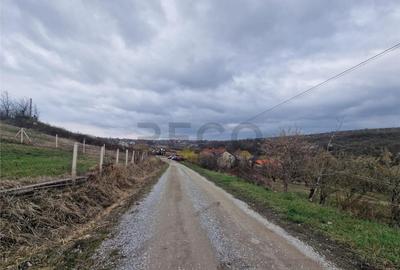 RECO teren intravilan Saldabagiu de Munte - 2