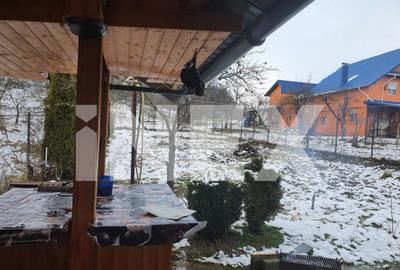 Casa la Padure cu 6 camere de vanzare Curtea de Arge? - 4