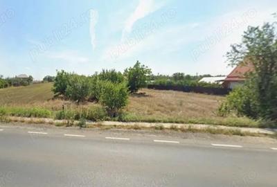 Teren intravilan 5000 mp Tamadau Mare deschidere 35 metri la DN3 - 6