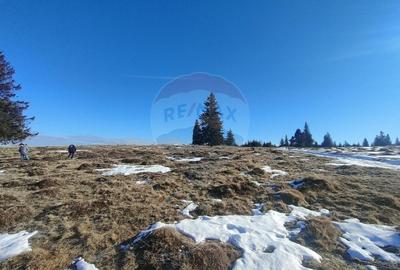 Teren agricol extravilan de 5609 mp, în Gura Râului - 11