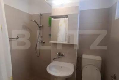 Apartament cu 2 camere semidecomandat în Careiului - 3