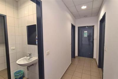 Spațiu industrial, de 3,495 mp, în Lugojului - 8