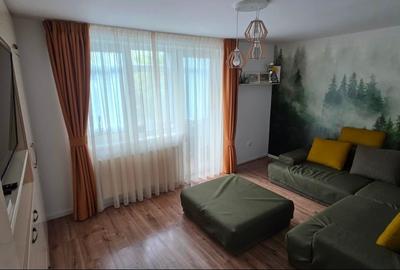 Apartament 3 camere utilat complet Cornisa Bistritei - 10