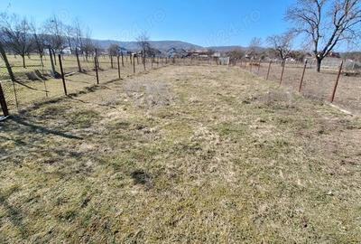 Spațiu comercial, în Lăzărești (Schitu Golești) - 2