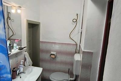 Duplex la curte comuna cu 3 camere si teren de 320 mp, zona Sagului - 9