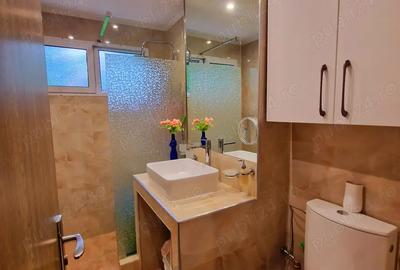 Inchiriez apartament cu 2 camere in zona Tatarasi pe Strada Vasile Lupu direct proprietar - 2