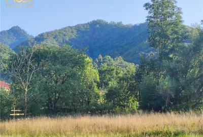 Teren intravilan Bistrita Birgaului, schimb cu apartament Teren intravilan Bistrita Birgaului, schimb cu apartament - 9