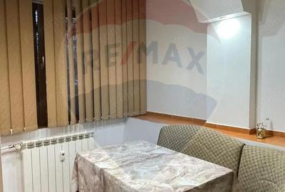 Apartament cu 1 camera de inchiriat in zona Brazda lui Novac - 6