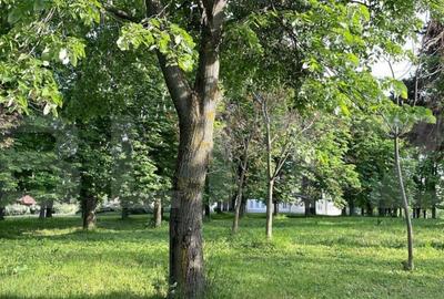 Cladire deosebita 550 mp, Popesti - 3