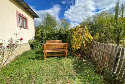 Casă cu 3 camere cu Teren 3300 Mp în Stroești - 1
