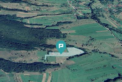 Teren de 92294 mp, în Hălmagiu - 2