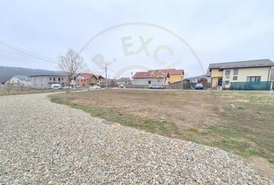 Teren intravilan Braileni-Valea Ursului, Toate Utilitatile - 2