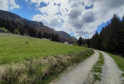 Teren de 950 mp, în Vidra - 5