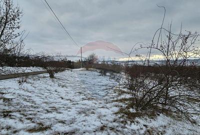 Teren 10,000mp Rada?eni / ?oseaua DN2-E85, jude?ul S... - 14