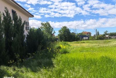 Spațiu comercial, în Domnești - 2