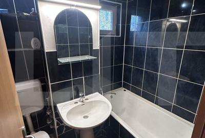 Apartament cu 2 camere în Șega - 4