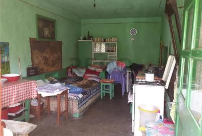 Casă cu 3 camere cu Teren 3000 Mp în Biharia - 6
