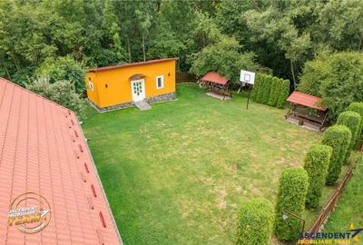 FILM 3D! Doua case cu:piscina,foisor,arbori decorativi,1.700mp teren,Lutoasa,Covasna - 5