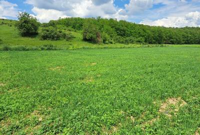 Teren agricol extravilan de 1010 mp, în Turnișor - 1